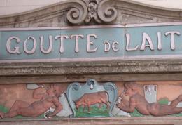goutte de lait
