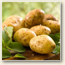 pomme de terre