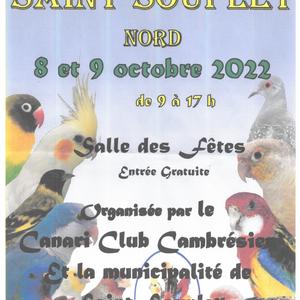expo vente canaris saint souplet octobre 2022