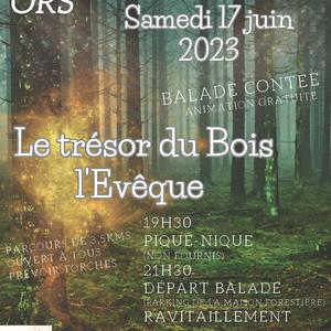 La Nuit de la foret