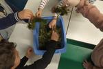 Les geants de la nature cBettina Himmel