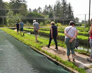 Visite adultes ferme aquaponique du Cambresis - Ju