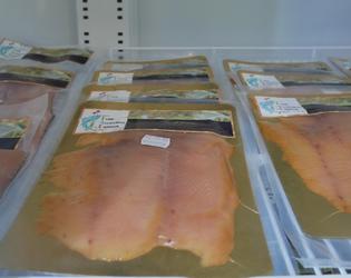Visite adultes ferme aquaponique du Cambresis - Ju