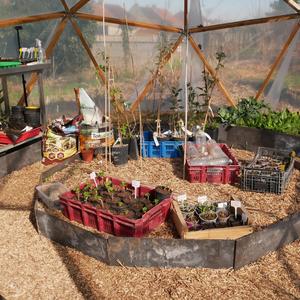 Le jardin de Laulouta - Mars 2025 - Avesnes-les-Au