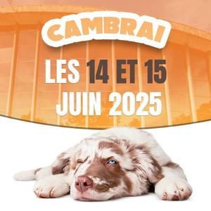 salon du chiot 2025