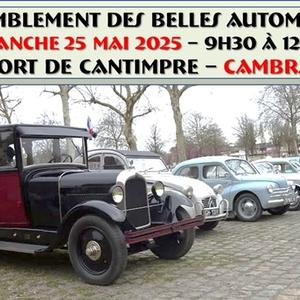 rassemblement belles automobiles mai 2025