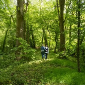 ballade dans le bois et pourquoi pas une seance de