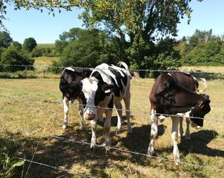 Circuit des Merovingiens - Juillet 2018 - copyrigh