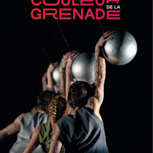 Affiche la couleur de la grenade
