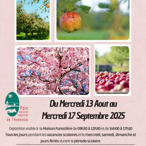 expo "le verger haute-tige"