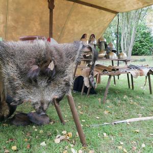 Fete de la Vigne 2019 c C.Delafaite OTCIS (23)
