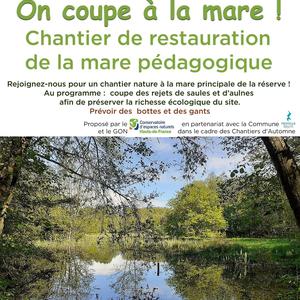 On coupe à la mare !