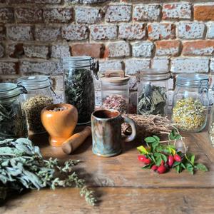 Plantes sauvages et remedes d'automne - 12 octobre