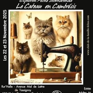 exposition-feline-internationale-68d264246b321