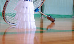 © Radu Razvan badminton