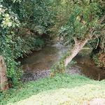 © Associationn Pêche et de Protection du Milieu Aquatique l Confluent Ecaillon-Saint-Georges