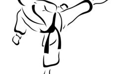 © - fotolia.com Art martiaux